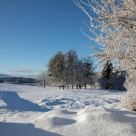 Le Relais Des Bornes - &